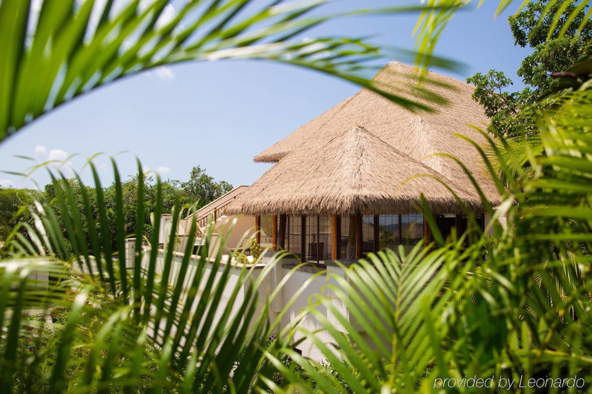 Paradise Beach Nevis Bagian luar foto